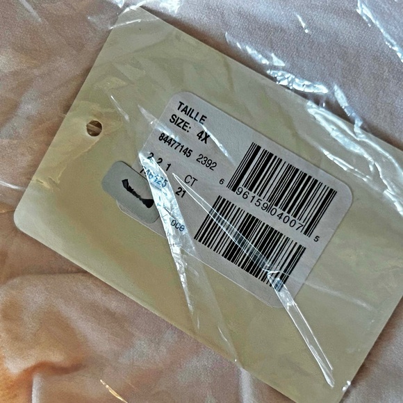 HIGH CUT BRIEFS, NYLON SPANDEX, BALLET PINK, SIZE 4X, SEAMLESS, DéESSE COLLECTIO - Picture 1 of 3